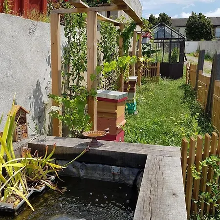Angers Green Lodge - Cosy Studio Exterior photo